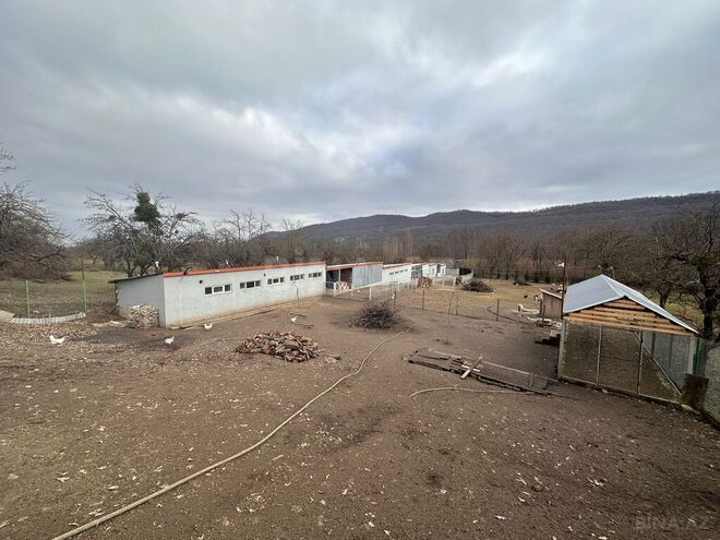 Obyekt - Quba - 600 m² (22)