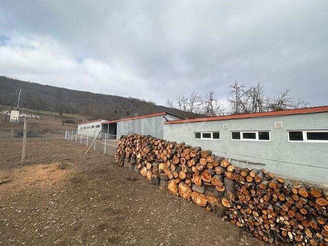 Obyekt - Quba - 600 m² (14)
