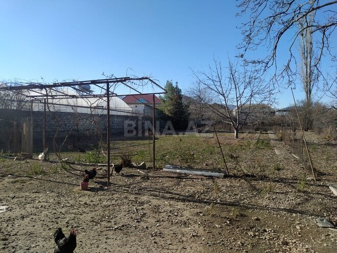 5 otaqlı həyət evi/bağ evi - Şəmkir - 380 m² (4)