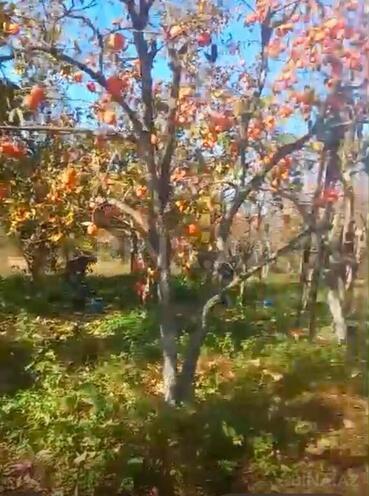 4 otaqlı həyət evi/bağ evi - Göyçay - 140 m² (3)