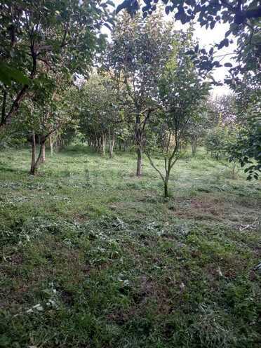 4 otaqlı həyət evi/bağ evi - Göyçay - 140 m² (1)