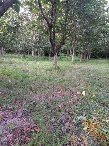4 otaqlı həyət evi/bağ evi - Göyçay - 140 m² (2)