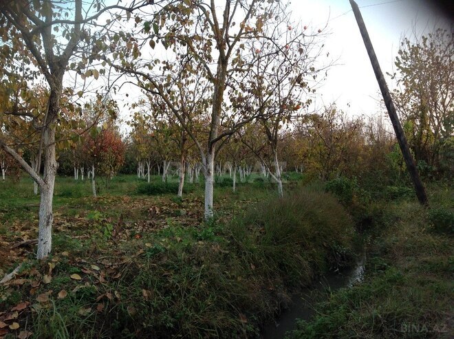 4 otaqlı həyət evi/bağ evi - Göyçay - 140 m² (5)