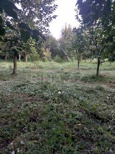 4 otaqlı həyət evi/bağ evi - Göyçay - 140 m² (9)