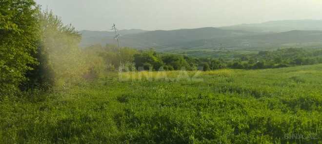 Участок - Исмаиллы - 75 сот (2)