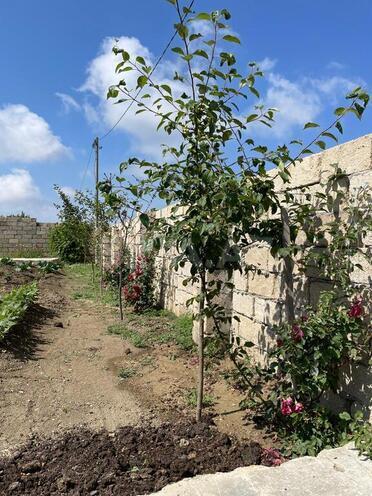 Продаётся 5-комн. дом/дача 169 м², photo 17 from 22