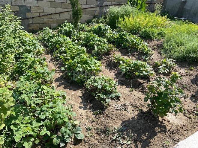 Продаётся 5-комн. дом/дача 169 м², photo 18 from 22