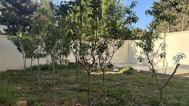 9 otaqlı həyət evi/bağ evi - Fatmayı q. - 284 m² (4)