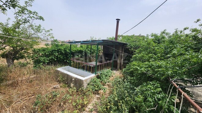 Torpaq - Albalılıq q. - 24 sot (8)