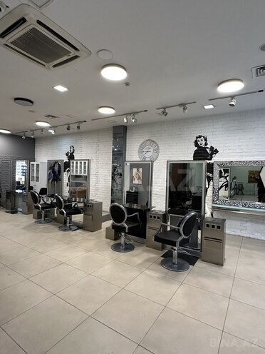 Obyekt - 28 May m. - 250 m² (3)