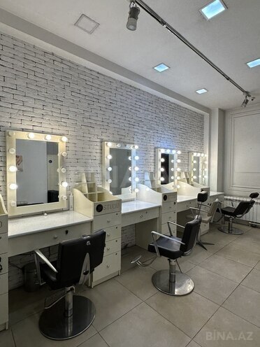 Obyekt - 28 May m. - 250 m² (9)