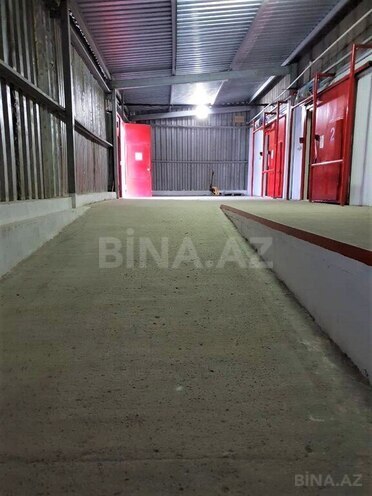 Объект - Сабаильский р. - 550 м² (6)