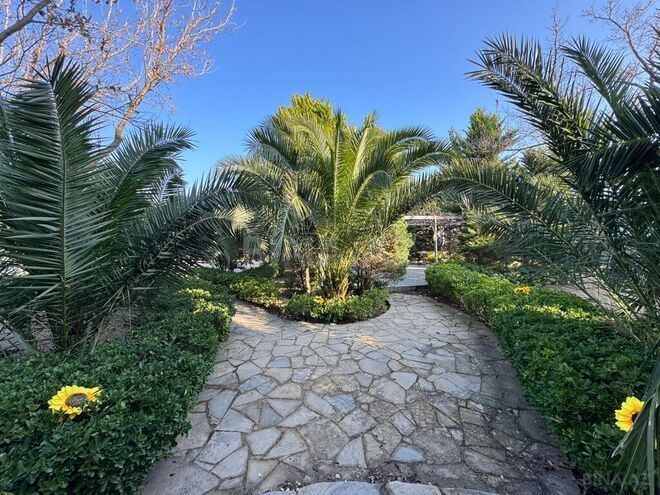 Satılır  torpaq 12 sot, Şüvəlan q., photo 4 from 11