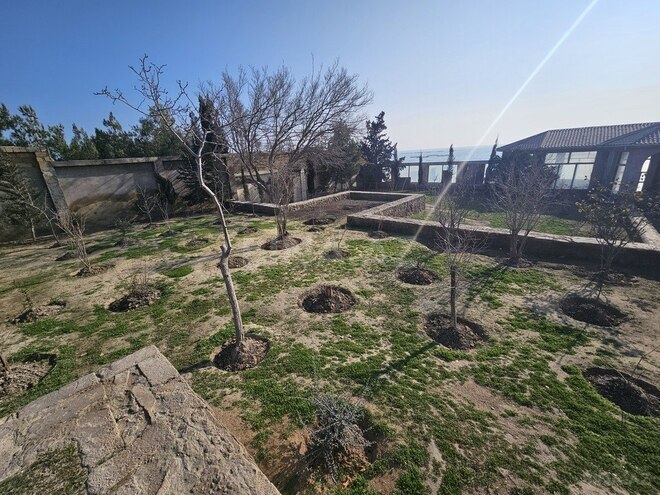 12 otaqlı həyət evi/bağ evi - Sahil q. - 500 m² (21)