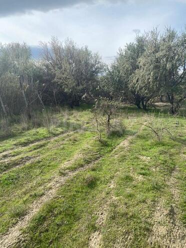 Продаётся  участок 500 сот, photo 8 from 14