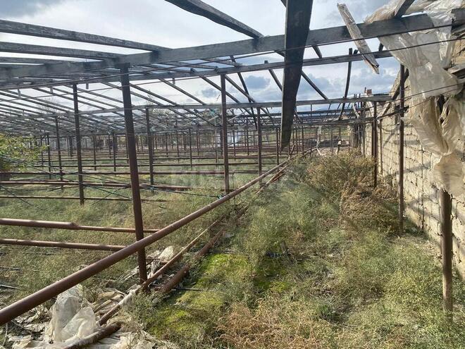 Продаётся  участок 500 сот, photo 7 from 14