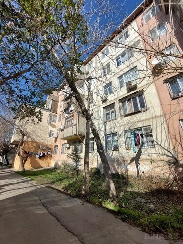 3-комн. вторичка - м. Насими - 70 м² (16)