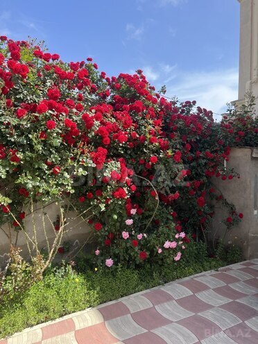 Satılır 3 otaqlı həyət evi/bağ evi 135 m², M.Ə.Rəsulzadə q., photo 3 from 32