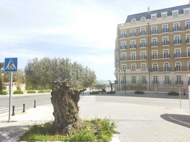 2 otaqlı ofis - Ağ şəhər q. - 50 m² (6)