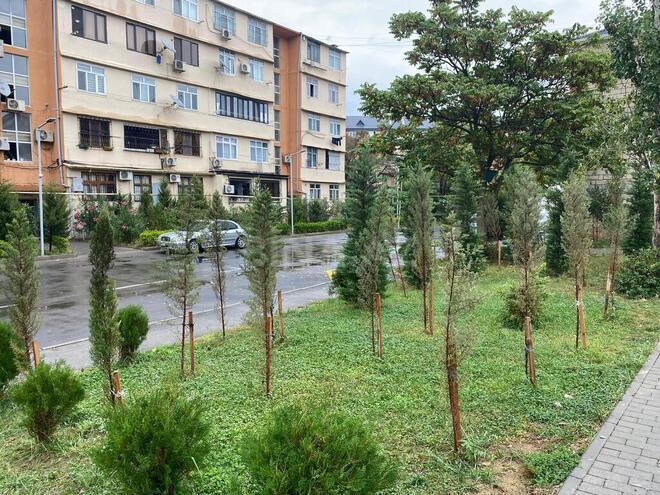 2 otaqlı köhnə tikili - Qara Qarayev m. - 60 m² (1)