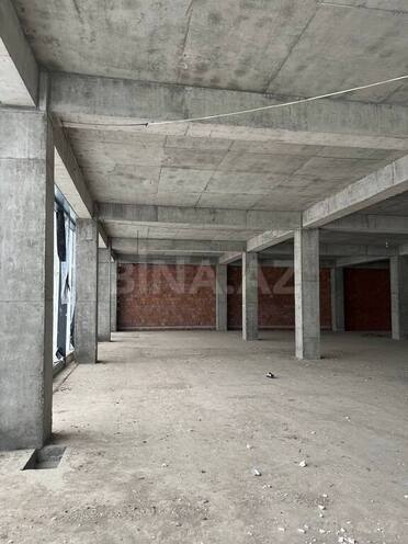 Объект - м. Низами - 211 м² (15)