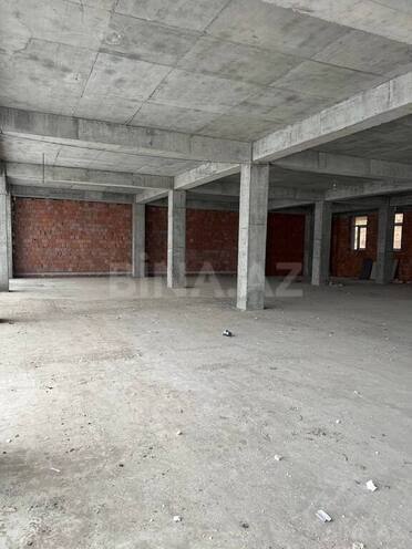 Объект - м. Низами - 211 м² (18)