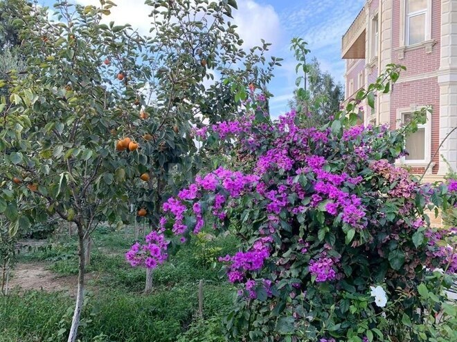 5 otaqlı həyət evi/bağ evi - Şağan q. - 450 m² (4)