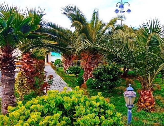İcarəyə verilir 8 otaqlı həyət evi/bağ evi 500 m², Mərdəkan q., photo 13 from 32