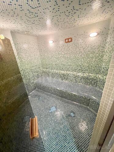10 otaqlı həyət evi/bağ evi - Sulutəpə q. - 1200 m² (27)