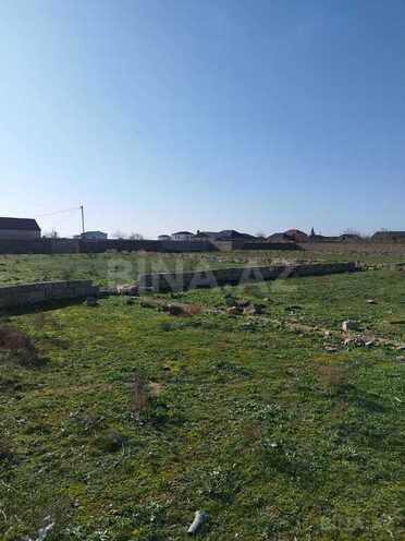 Продаётся  участок 100 сот, пос. Зире, photo 6 from 8