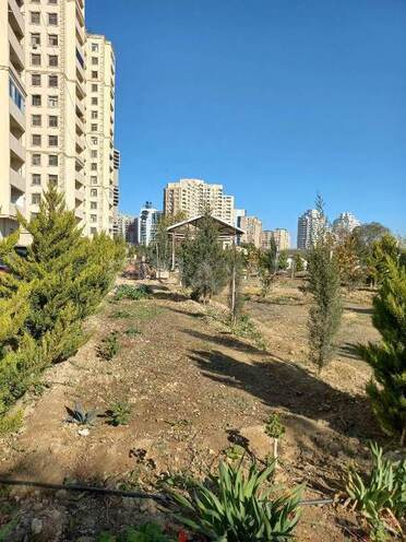 Продаётся 3-комн. новостройка 125 м², Ясамальский р., photo 5 from 28