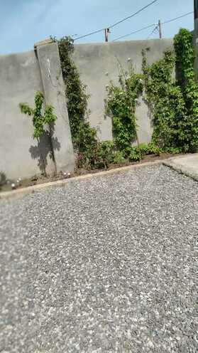5 otaqlı həyət evi/bağ evi - Novxanı q. - 220 m² (25)