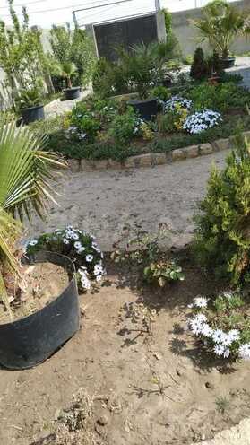 5 otaqlı həyət evi/bağ evi - Novxanı q. - 220 m² (26)