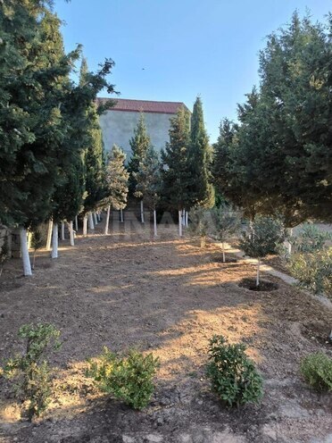 3 otaqlı həyət evi/bağ evi - Mərdəkan q. - 100 m² (7)