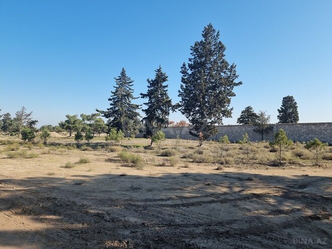 Satılır  torpaq 90 sot, Binə q., photo 1 from 14