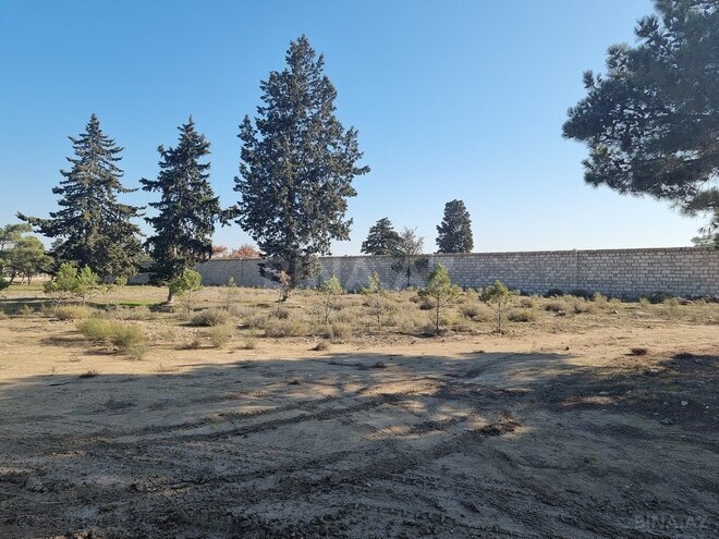 Satılır  torpaq 90 sot, Binə q., photo 6 from 14