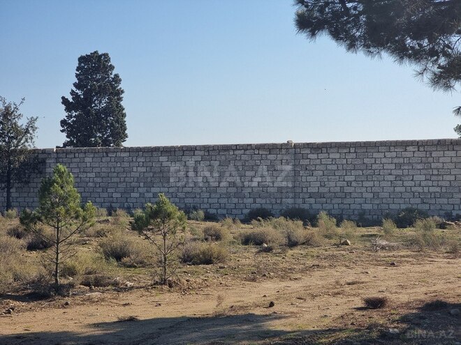 Satılır  torpaq 90 sot, Binə q., photo 9 from 14