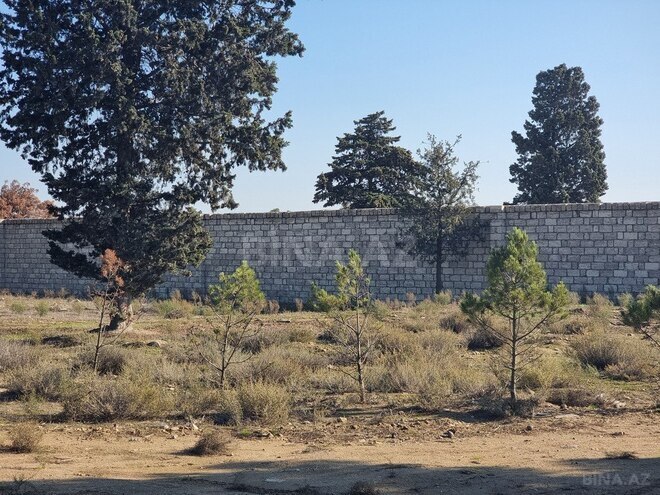 Satılır  torpaq 90 sot, Binə q., photo 7 from 14
