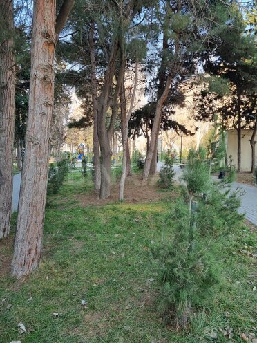 2 otaqlı köhnə tikili - Həzi Aslanov m. - 45 m² (12)