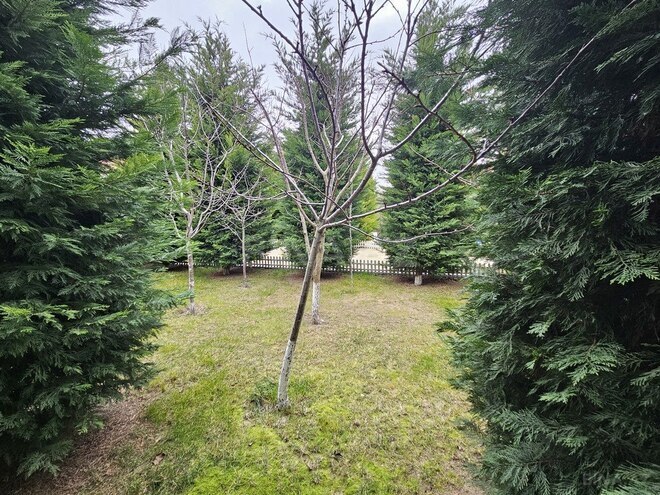 Продаётся 5-комн. дом/дача 220 м², пос. Мардакан, photo 11 from 32