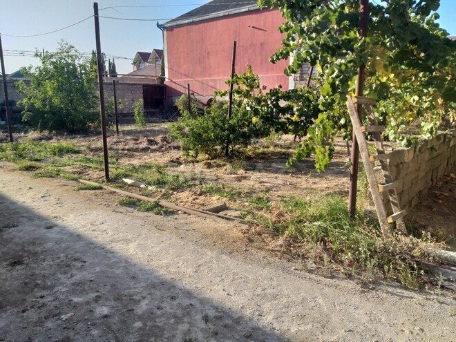 Участок - пос. Бузовна - 18 сот (1)