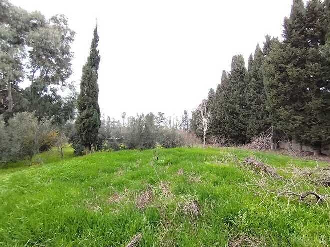 Torpaq - Nardaran q. - 36 sot (1)