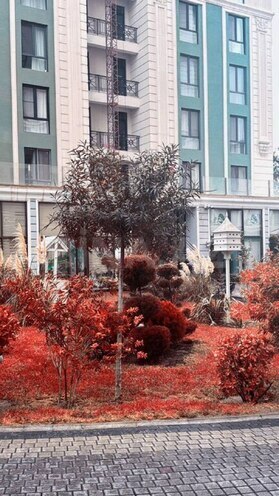 1 otaqlı yeni tikili - Gənclik m. - 60 m² (19)