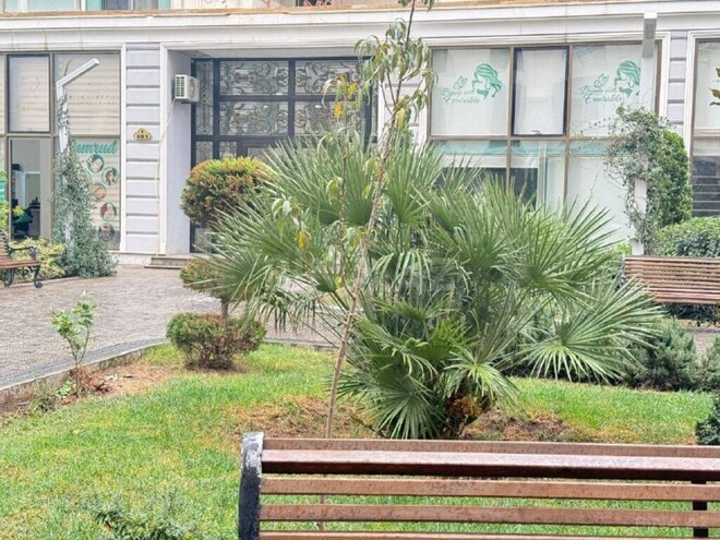 1 otaqlı yeni tikili - Gənclik m. - 60 m² (17)