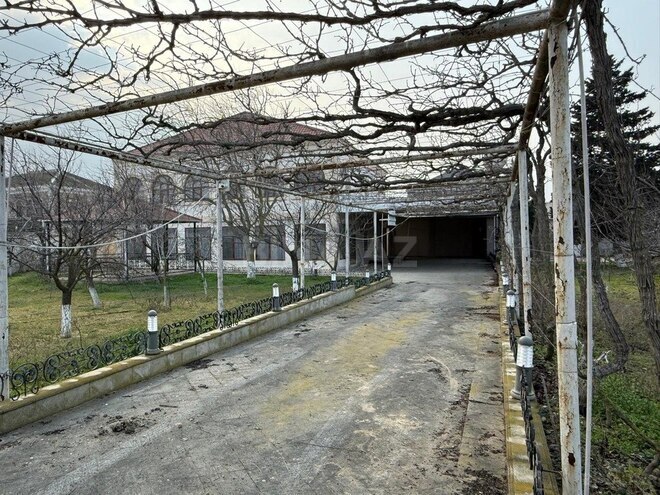 Участок - пос. Шувеляны - 35 сот (1)