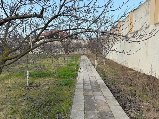 Участок - пос. Шувеляны - 35 сот (2)