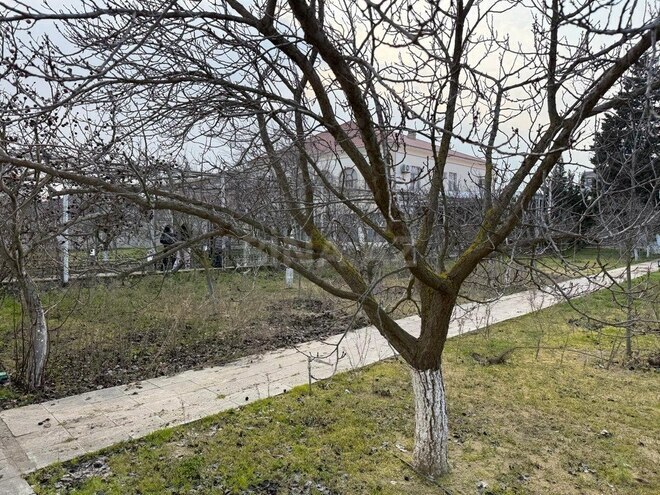 Участок - пос. Шувеляны - 35 сот (9)
