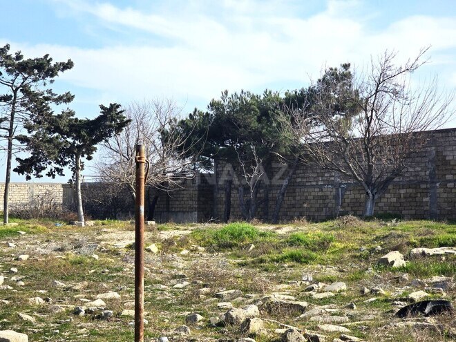 Satılır  torpaq 100 sot, Buzovna q., photo 10 from 28