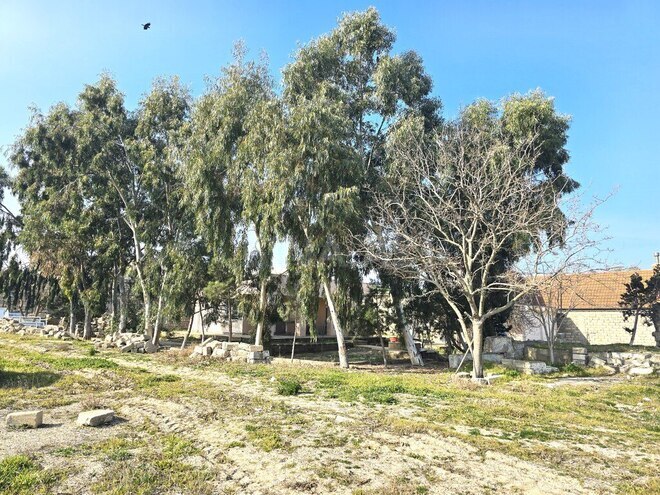 Satılır  torpaq 100 sot, Buzovna q., photo 7 from 28