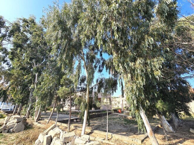 Satılır  torpaq 100 sot, Buzovna q., photo 11 from 28